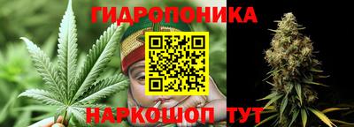 индика Мариинск