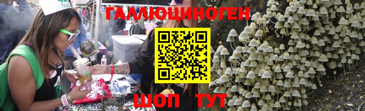Псилоцибиновые грибы Psilocybine cubensis Фролово